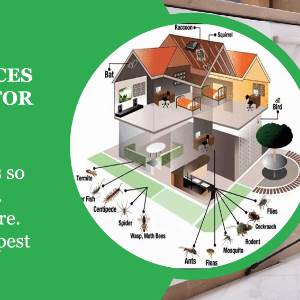 REX Environment Science REX Environment Science